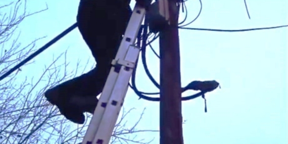 Direkte mahsur kalan kedi itfaiye tarafından indirildi