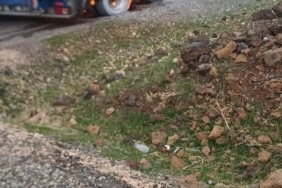 Diyarbakır’da seyir halindeki tır alev aldı