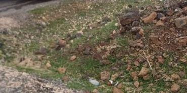 Diyarbakır’da seyir halindeki tır alev aldı