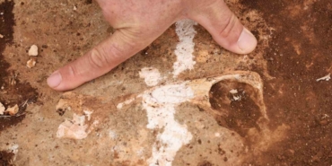 Diyarbakır’da yüz milyonlarca yıl önceye ait fosiller bulundu