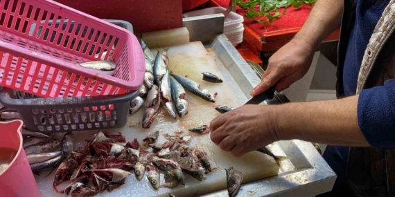 Doğru bilinen yanlışı uzmanı açıkladı: "Gözüne bakıp tazeliğini anlarım diyen yalan söyler"