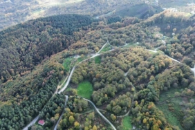 Düzce ormanlarında "renk cümbüşü" yaşanıyor