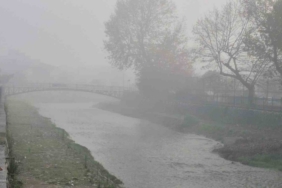 Düzce’de sis etkili oluyor