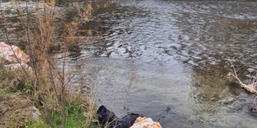 Ege Ekspresi’nin çarptığı yaya hayatını kaybetti