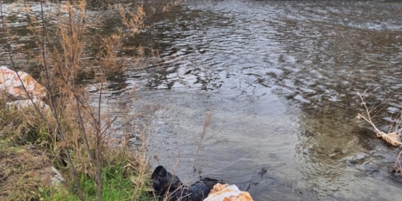 Ege Ekspresi’nin çarptığı yaya hayatını kaybetti