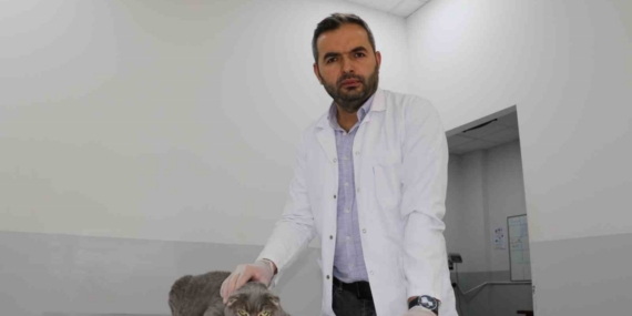 Ekmek kavgası bitti, kedi ve köpekler dost oldu