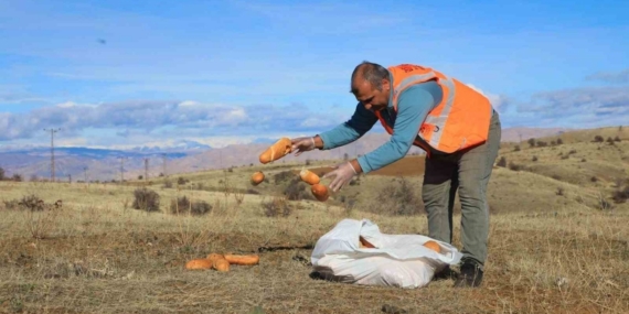 Elaızığ’da doğaya yem bırakıldı