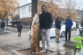 Elazığ’da 60 kiloluk turna balığı yakalandı