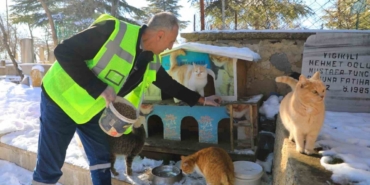 Elazığ’da doğaya yem bırakıldı