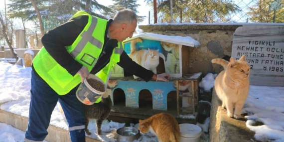 Elazığ’da doğaya yem bırakıldı