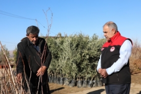 Elazığ’da fidancılık işletmelerine denetim