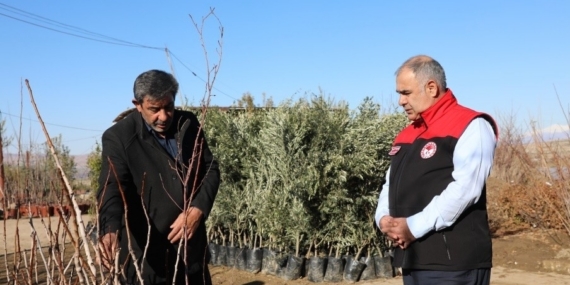 Elazığ’da fidancılık işletmelerine denetim
