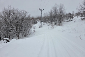 Elazığ’da kar başladı, 311  köy yolu ulaşıma kapandı