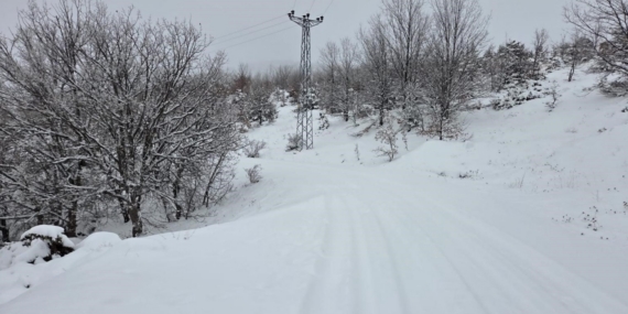 Elazığ’da kar başladı, 311  köy yolu ulaşıma kapandı