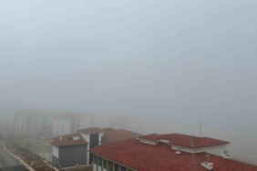 Elazığ’da sis etkisini sürdürüyor