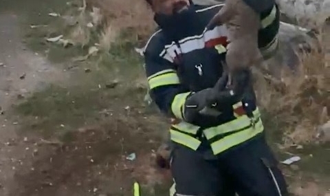 Elazığ’da yürek ısıtan kurtarma operasyonu