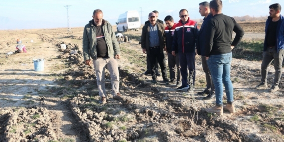 Erzincan’da 111 bin tuz çalısı toprakla buluşturuldu