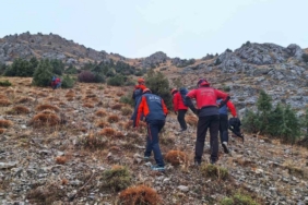 Erzincan’da kayalıklarda mahsur kalan 11 keçi 3 saatlik operasyonla kurtarıldı