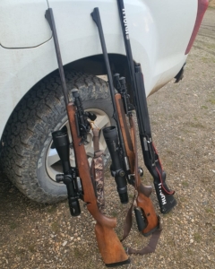 Erzincan’da yaban keçisi vuran 2 şahısa 970 bin 827 TL ceza uygulandı