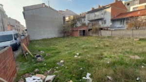 Eskişehir’de boş arsada 8 ölü kedi bulundu