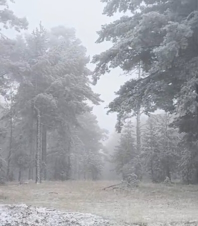 Eskişehir’e mevsimin ilk karı yağdı