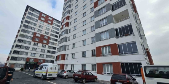 Evi taşınırken tartıştığı nakliyeciyi bıçakladı