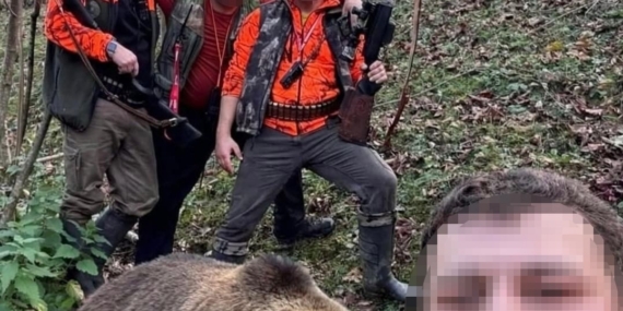 Evlere ve vatandaşlara zarar veren ayı için başlatılan av sonuç verdi, ilk ayı vuruldu