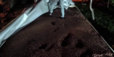 Fındıkla kamufle edilen tırdan 30 milyonluk kaçak makaron çıktı: 4 gözaltı