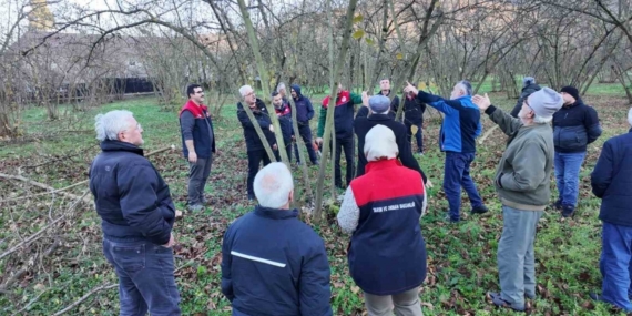 Fındıkta verim ve kalite artırılıyor