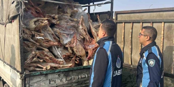 Gaziantep’te kamyonet kasasında kilolarca bozuk et ele geçirildi