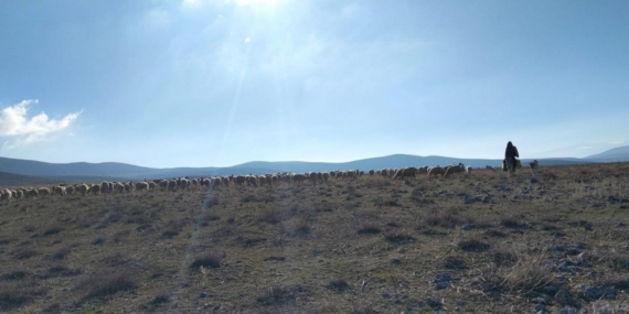 Geçici maden arama izni verilen meralarda kontroller yapıldı