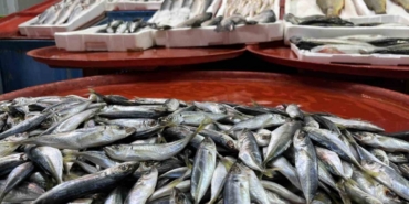 Geciken kış Konya’da balığı da vurdu