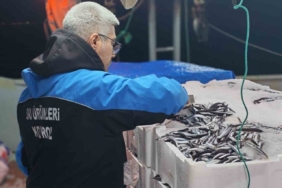 Gelibolu’da 45 kilo balığa el konuldu, 37 bin 770 lira para cezası kesildi