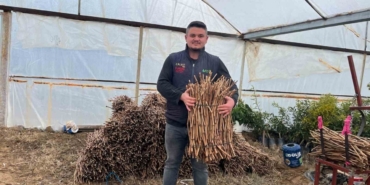 Genç kardeşlerden Sarıgöl ekonomisine 700 bin fidan hamlesi