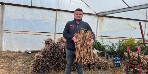 Genç kardeşlerden Sarıgöl ekonomisine 700 bin fidan hamlesi