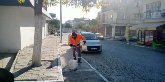 Germencik’te kireçleme ve ağaç budama çalışması