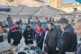 Germencik’te semt pazarında gıda denetimi