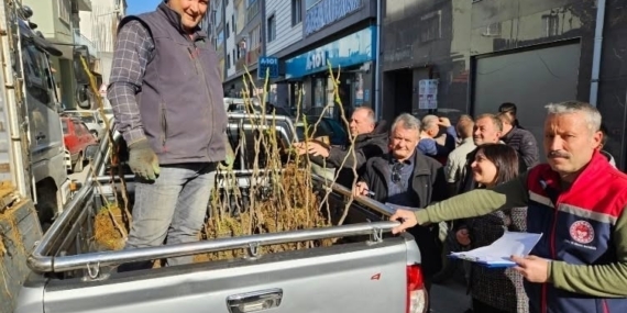 Germencik’te üreticiye 4 bin sertifikalı fidan desteği