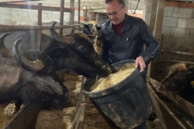 Giresun’da 286 manda işletmesine 12,3 milyon TL destek