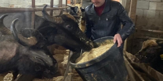 Giresun’da 286 manda işletmesine 12,3 milyon TL destek