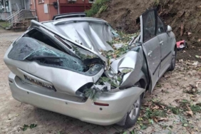 Giresun’da devrilen ağaç bir aracı kullanılamaz hale getirdi