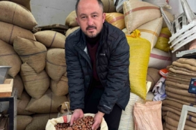 Giresun’da fındık fiyatı yılbaşına günler kala yükselişe geçti