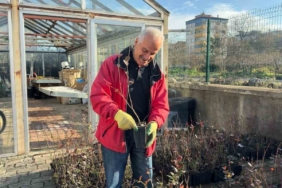 Giresun’dan mavi yemiş atağı