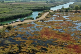 Gökçe Sulak alanı yeniden canlanıyor