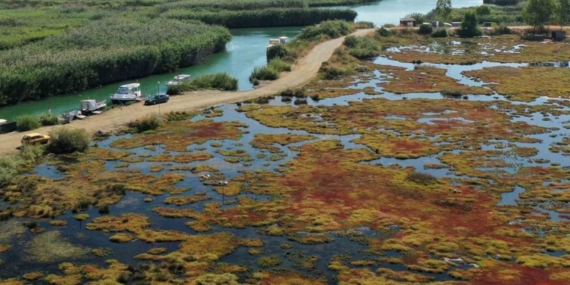 Gökçe Sulak alanı yeniden canlanıyor