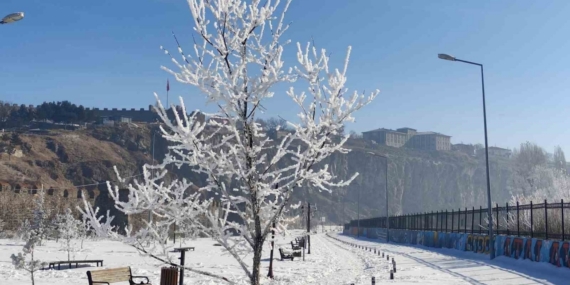 Göle eksi 16 dereceyi gördü, ağaçlar kırağı tuttu
