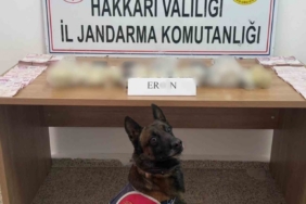 Hakkari’de 5 kilo 815 gram eroin ele geçirildi