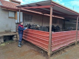 ’Halk Elinde Anadolu Mandasının Islahı Projesi’ devam ediyor