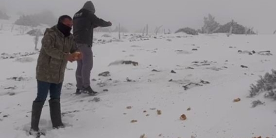 Halkapınar’da kar yağışı etkili oluyor