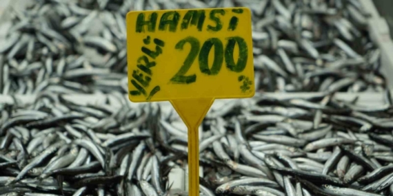 Hamside bolluk azaldı, fiyatı 200 TL’ye çıktı